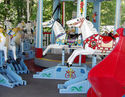 Heyn Horses