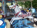 Heyn Horse