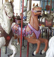 Heyn Horses