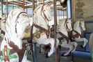 Heyn Horses