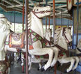 Heyn Horses