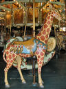 Herschell-Spillman Giraffe Outside Row Stander