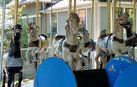 Allan Herschell Horse Row
