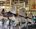 Allan Herschell Horse Row