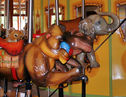 Mandrill, Pygmy Hippo and Elephant