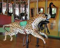 Cheetah, Honey Badger and Stork