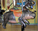 Pygmy Hippo, Mandrill and Elephant