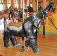 Toledo Zoo