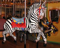 Zebra, Mandrill and Warthog