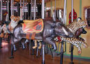 Warthog, Spotted Leopard and Cape Hunting Dog