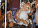Lion Cub