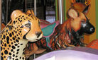 Cheetah and Cape Hunting Dog