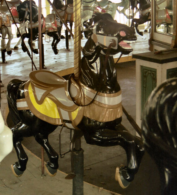 Click to display the next picture