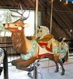 Dentzel Deer - 2nd Row Jumper