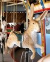 3rd Row Reproduction Rabbit