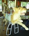 Allan Herschell Dog Jumper