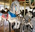 2nd Row Spillman Engineering Horse and 3rd Row Allan Herschell Zebra