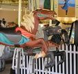 Spillman Engineering Horses