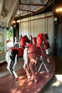 Deboer Bros. Prancers