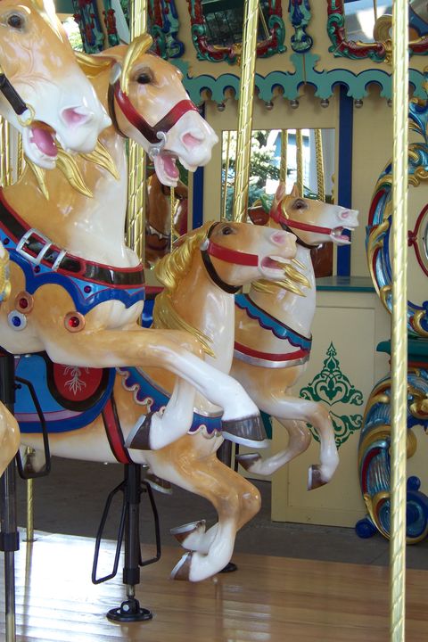 Click to display the next picture